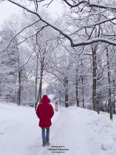 Vinter